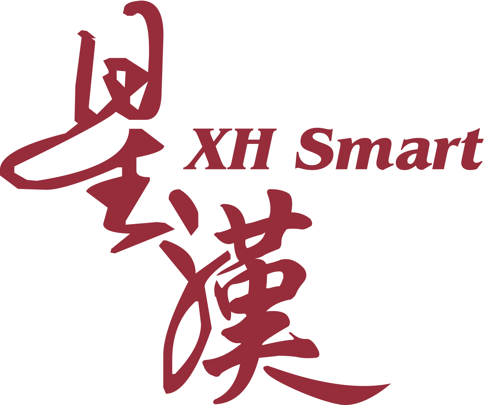 XH Smart Tech logo - IDEX Biometrics